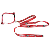 Pet Collar/ Pet Leash
