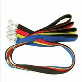 Pet leash / Dog leash