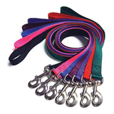 Polyester Pet Leash, 2/5 inch by 4 feet
